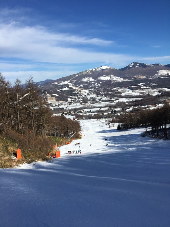 パインビークスキー場|菅平高原スノーリゾートのクチコミ画像