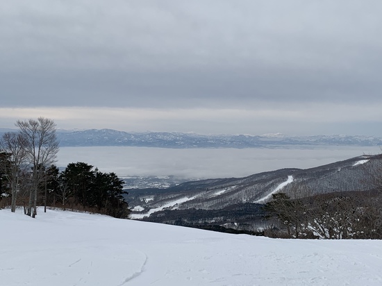 雪が|星野リゾート ネコマ マウンテン(旧アルツ磐梯＆猫魔スキー場…のクチコミ画像