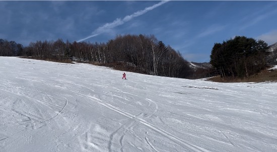 ワンダーランドかたしなレビューキャンペーン|かたしな高原スキー場のクチコミ画像