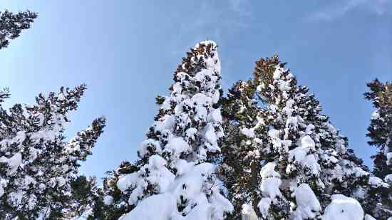 気になったので|赤倉温泉スキー場のクチコミ画像3