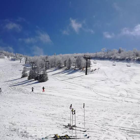 ワンダーランドかたしなレビューキャンペーン|丸沼高原スキー場のクチコミ画像