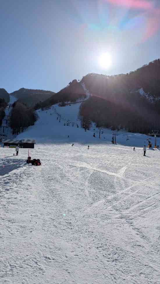 ワンダーランドかたしなレビューキャンペーン