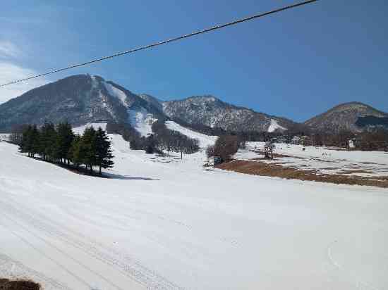 食事無料デー|のクチコミ画像