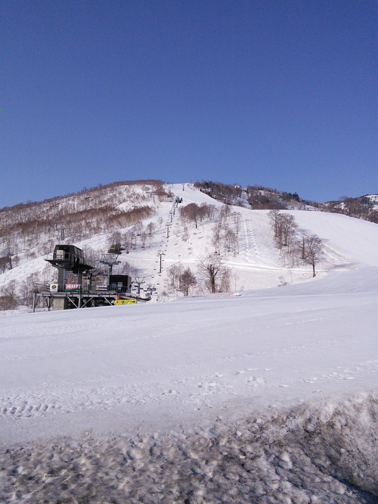雪多し、でも暑い|かぐらスキー場のクチコミ画像