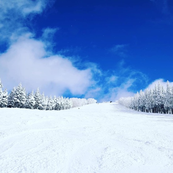 雪のち晴れ、パウダーのち非圧雪|スキージャム勝山のクチコミ画像