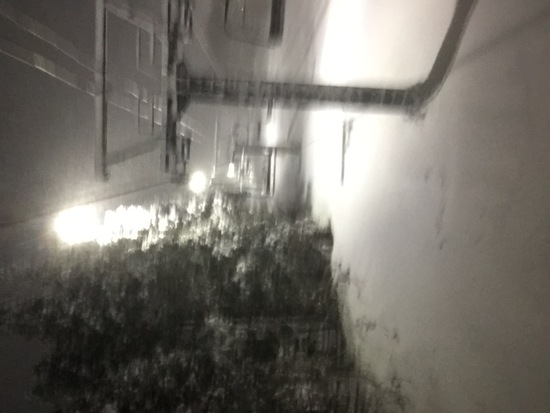 ようやく降雪！|スプリングバレー仙台泉スキー場のクチコミ画像