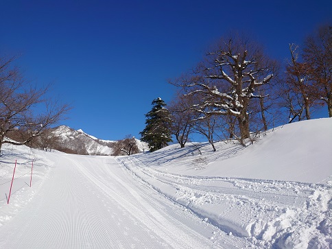 晴天の朝一|岩原スキー場のクチコミ画像2