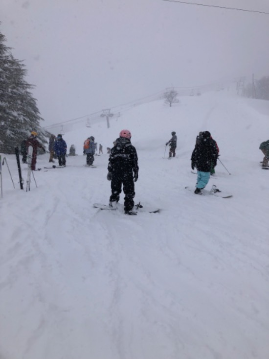 雪多すぎました