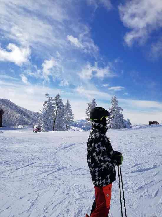 ワンダーランドかたしなレビューキャンペーン