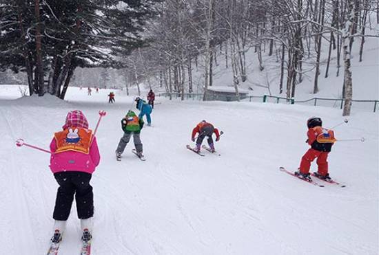 ワンダーランドかたしなレビューキャンペーン|かたしな高原スキー場のクチコミ画像