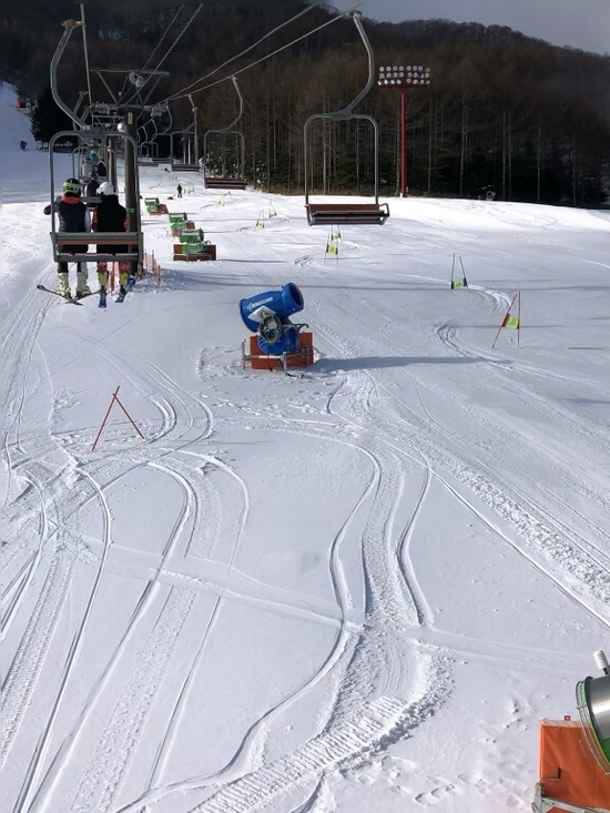 天然雪も降りました|のクチコミ画像