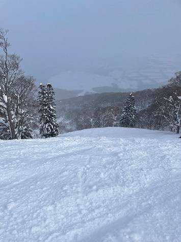雪質が良く楽しい|安比高原スキー場のクチコミ画像
