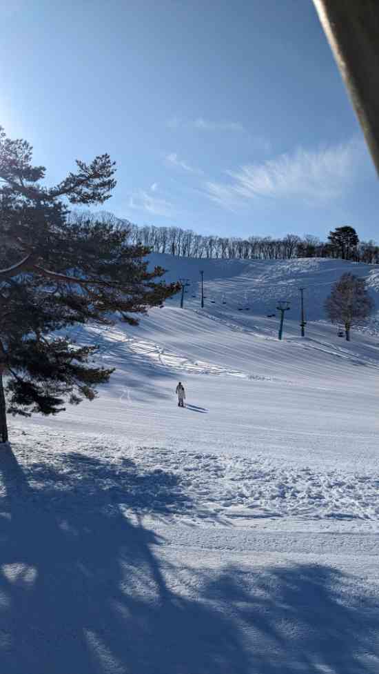 これぞ、天然雪|水上高原・奥利根温泉 藤原スキー場のクチコミ画像