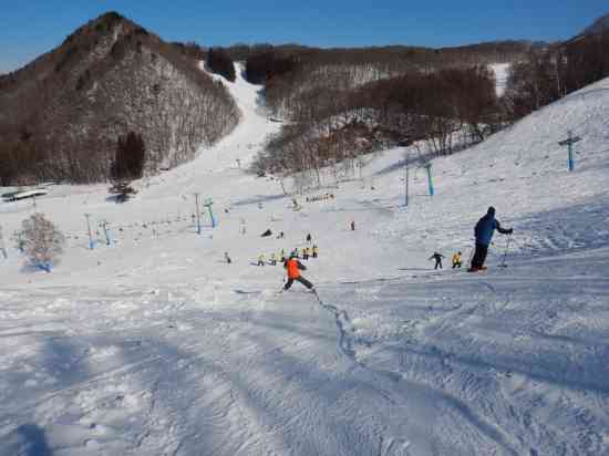 これぞ、天然雪|水上高原・奥利根温泉 藤原スキー場のクチコミ画像3