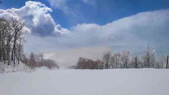 ワンダーランドかたしなレビューキャンペーン|ホワイトワールド尾瀬岩鞍のクチコミ画像