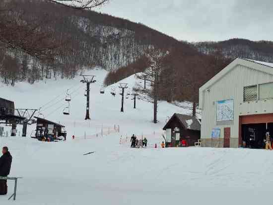 ワンダーランドかたしなレビューキャンペーン