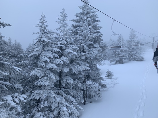 すごい地吹雪でした|蔵王温泉スキー場のクチコミ画像