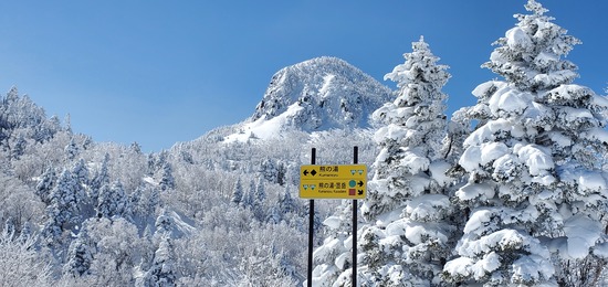 パウダースノー❗|志賀高原 熊の湯スキー場のクチコミ画像
