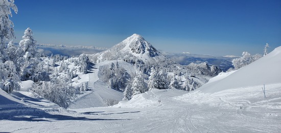 パウダースノー❗|志賀高原 熊の湯スキー場のクチコミ画像2