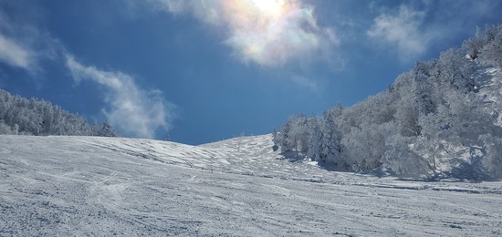 パウダースノー❗|志賀高原 熊の湯スキー場のクチコミ画像3