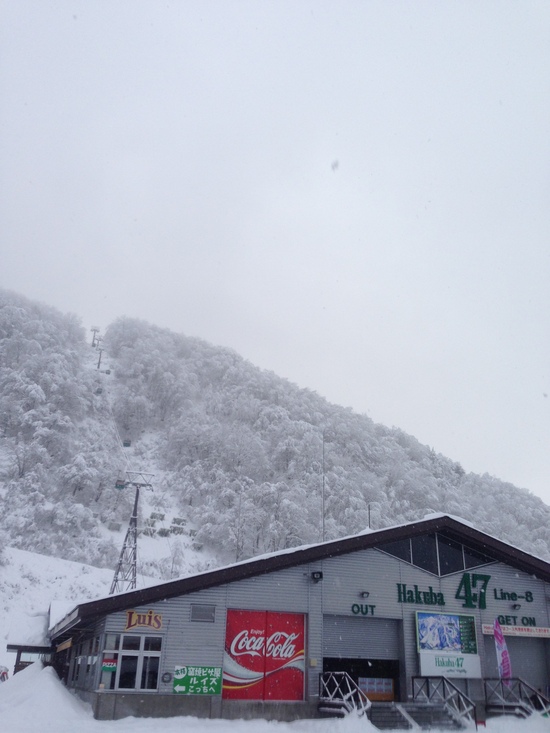 ハツスベリ|Hakuba47 ウインタースポーツパークのクチコミ画像