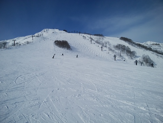 コンディション最高|白馬八方尾根スキー場のクチコミ画像