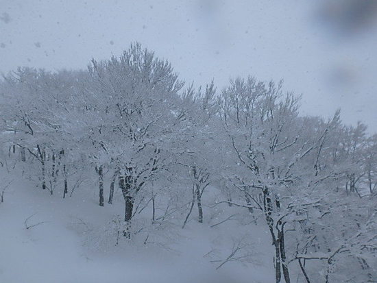 積雪300cm超 冬景色のキューピットバレイ|キューピットバレイのクチコミ画像