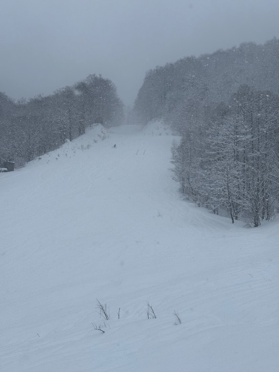 ゴンドラ|白馬岩岳スノーフィールドのクチコミ画像