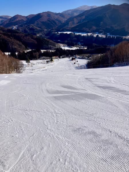 ワンダーランドかたしなレビューキャンペーン