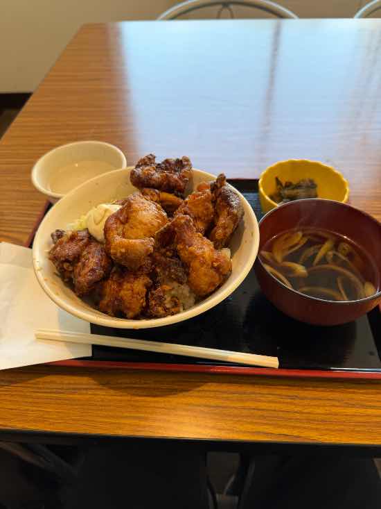 新緑の下|奥只見丸山スキー場のクチコミ画像1