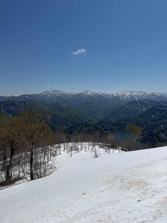 新緑の下|奥只見丸山スキー場のクチコミ画像2