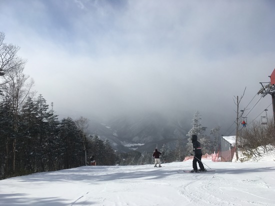 10数年ぶり野麦峠|信州松本 野麦峠スキー場のクチコミ画像
