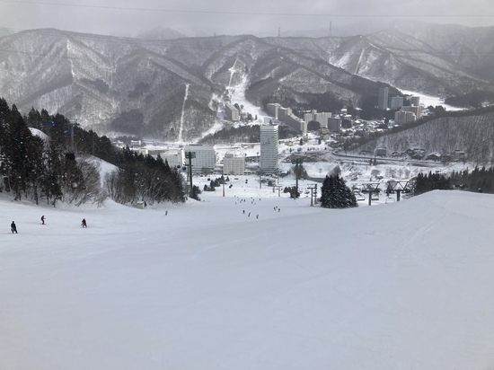 雪質最高|苗場スキー場のクチコミ画像