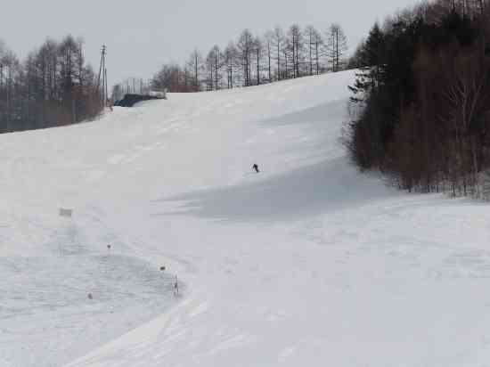 海抜2000m|信州松本 野麦峠スキー場のクチコミ画像
