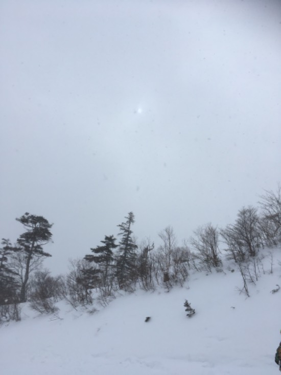 10年に一度の寒波|オグナほたかスキー場のクチコミ画像