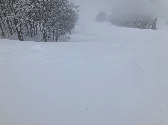 初めまして岩原スキー場