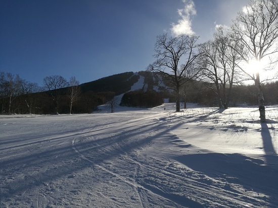 雪たっぷり|安比高原スキー場のクチコミ画像