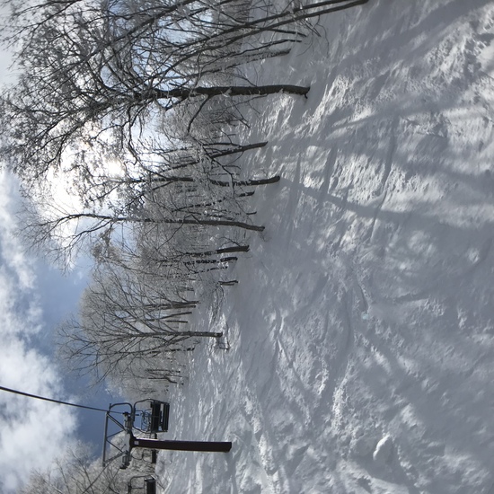雪園地(snow land)|タングラムスキーサーカスのクチコミ画像