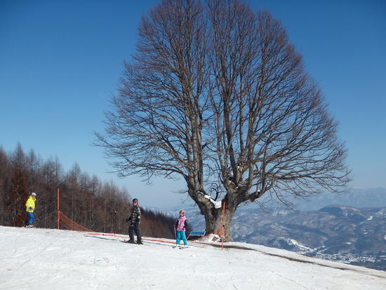 良い記念写真が取れました。|妙高杉ノ原スキー場のクチコミ画像