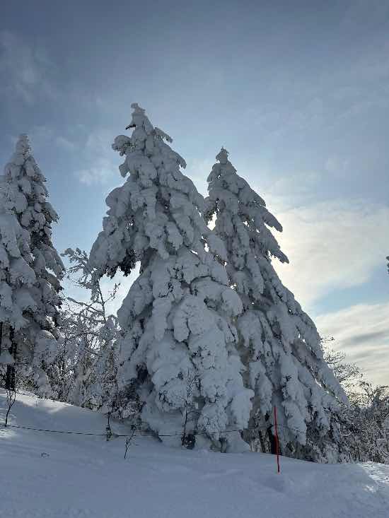 えー天気！|カムイスキーリンクスのクチコミ画像