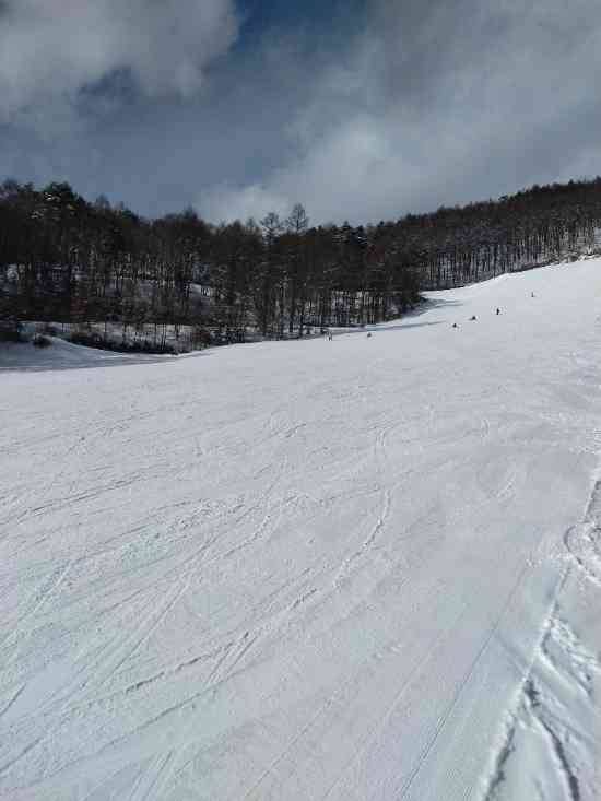 ワンダーランドかたしなレビューキャンペーン|ホワイトワールド尾瀬岩鞍のクチコミ画像