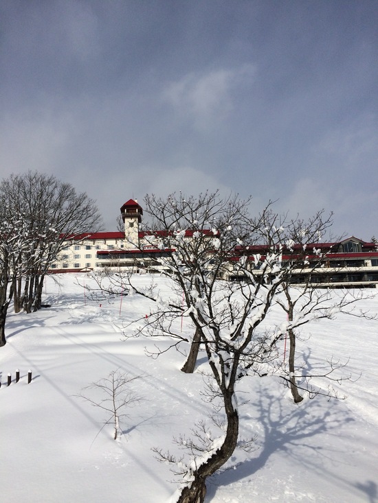 安心してくだい、雪ありますよ。|赤倉観光リゾートスキー場のクチコミ画像
