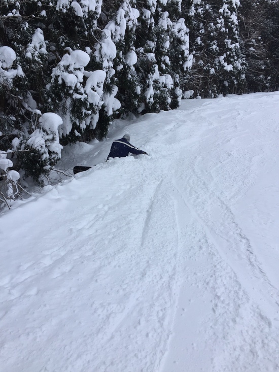 崖の下のポニョ？|White Resort 白馬さのさかのクチコミ画像
