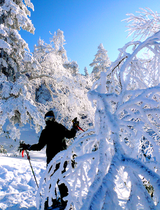 ゴーグルを見て|志賀高原リゾート中央エリア（サンバレー～一の瀬）のクチコミ画像3