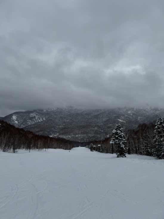 志賀高原 焼額山スキー場のフォトギャラリー5