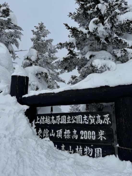 ほぼ初志賀高原|志賀高原 焼額山スキー場のクチコミ画像3