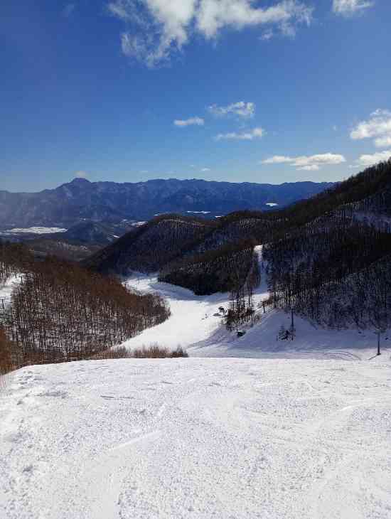 ワンダーランドかたしなレビューキャンペーン