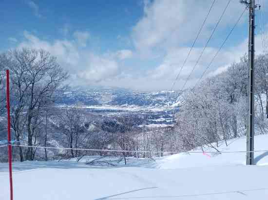 ゲレポン2月当選分|野沢温泉スキー場のクチコミ画像