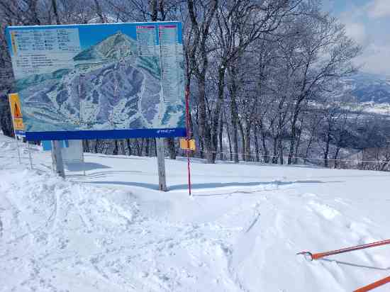 ゲレポン2月当選分|野沢温泉スキー場のクチコミ画像2