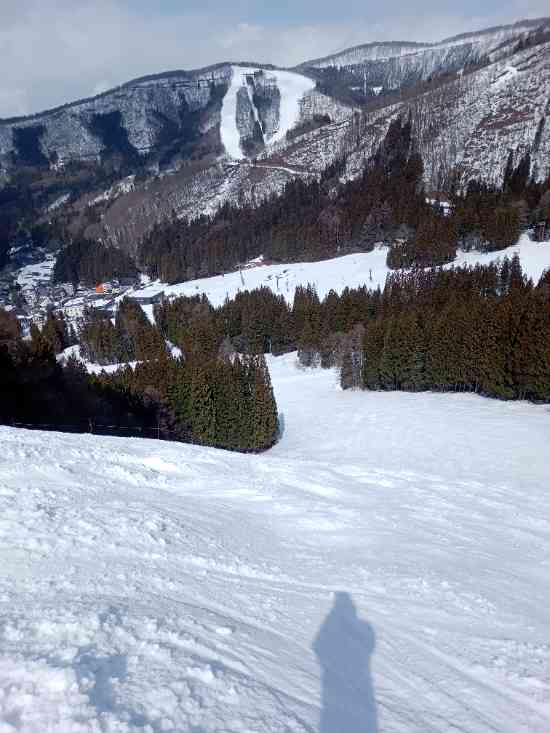 ゲレポン2月当選分|野沢温泉スキー場のクチコミ画像3